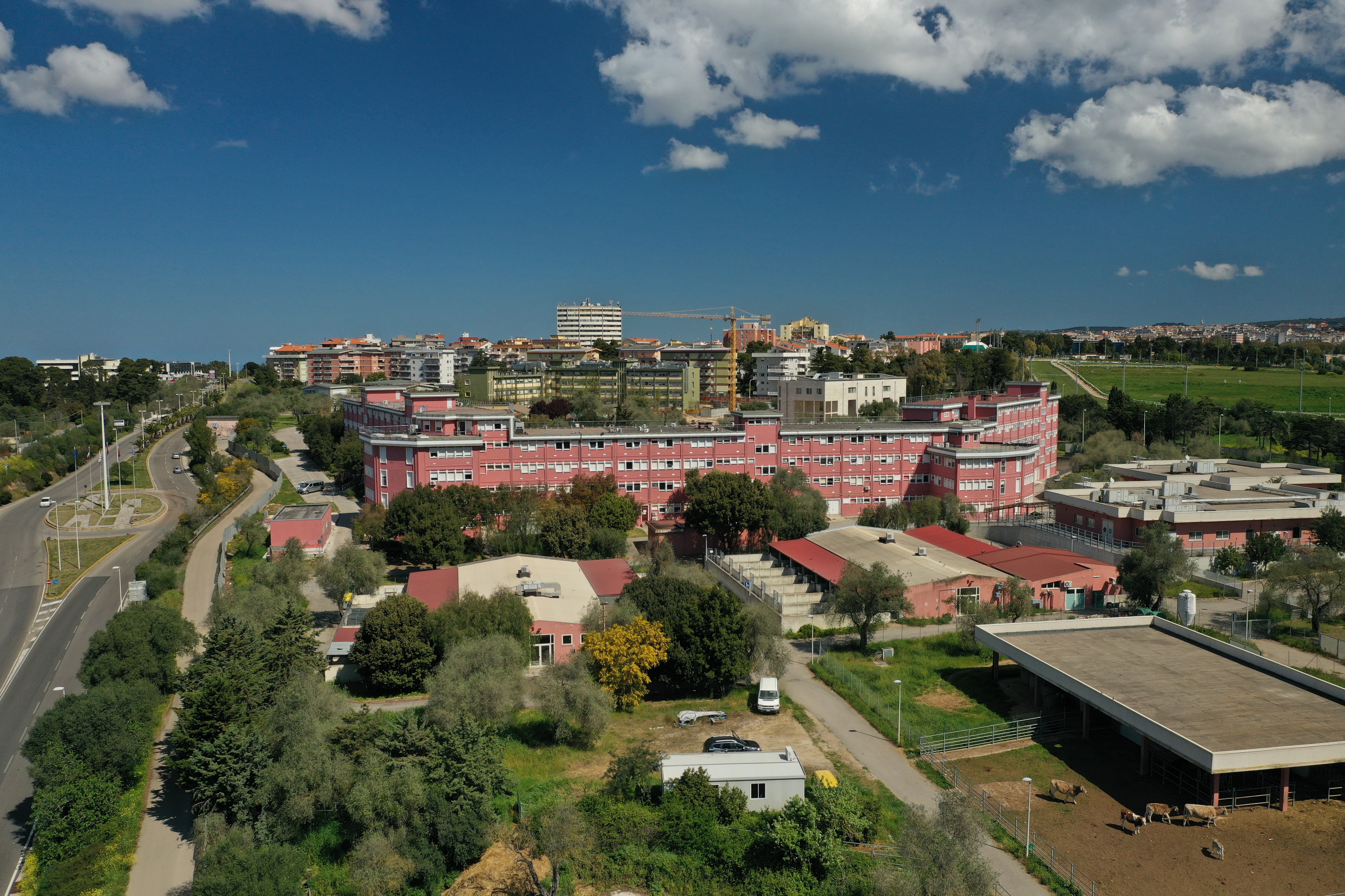 Foto area del Dipartimento di Medicina veterinaria di Sassari