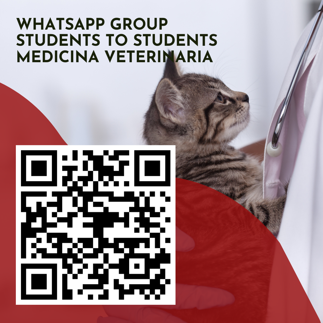 QR code per accedere al gruppo WhatsApp students-to-students del corso di laurea in Medicina Veterinaria – Vetsassari