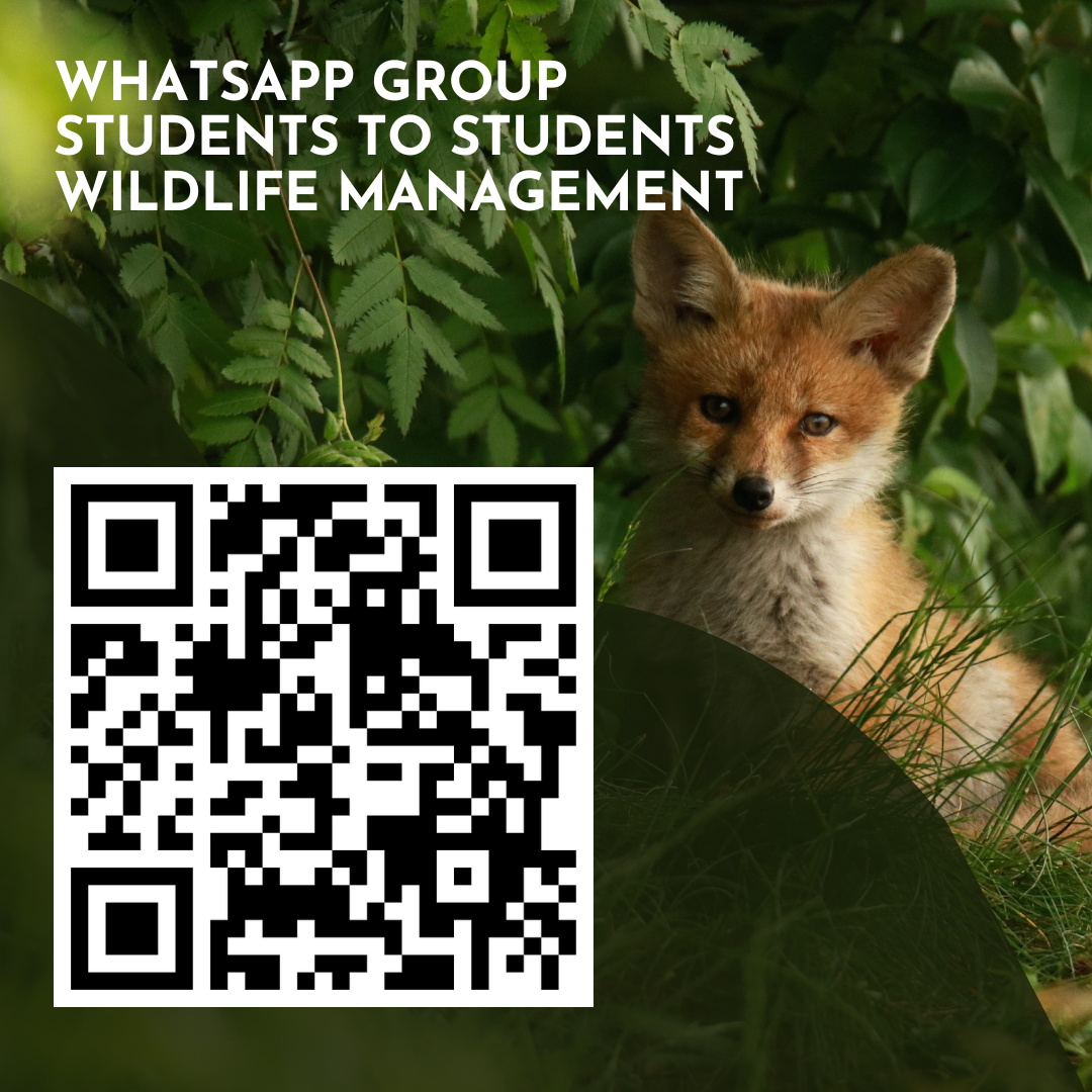 QR code per accedere al gruppo WhatsApp students-to-students del corso di laurea in Wildlife Management - Vetsassari