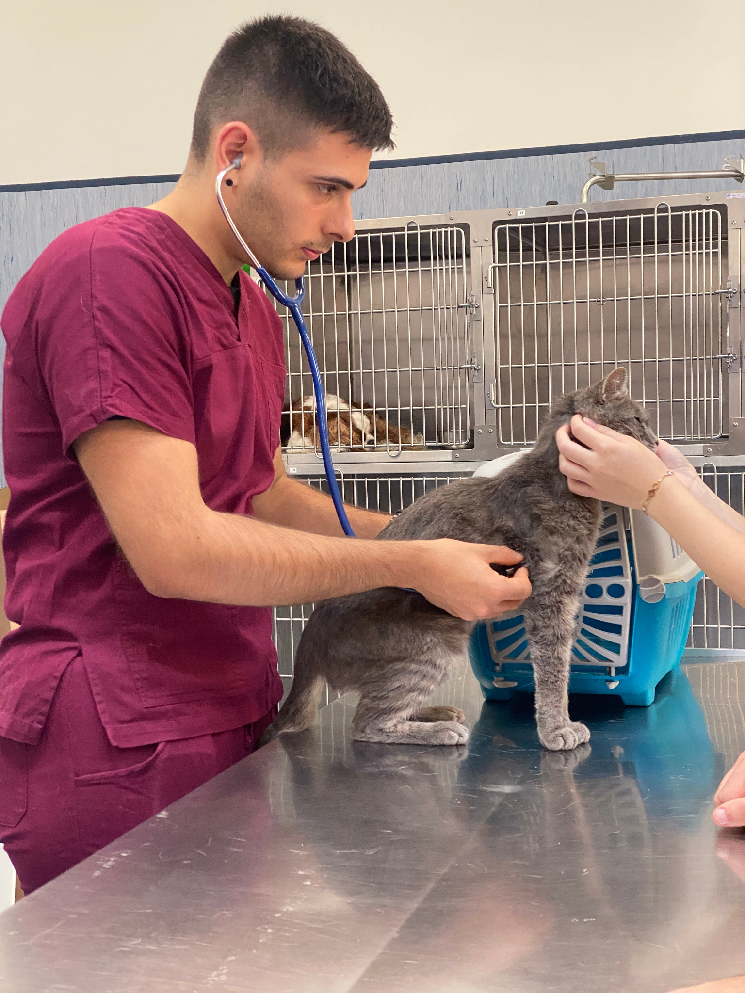 Ospedale didattico veterinario universitario Sassari