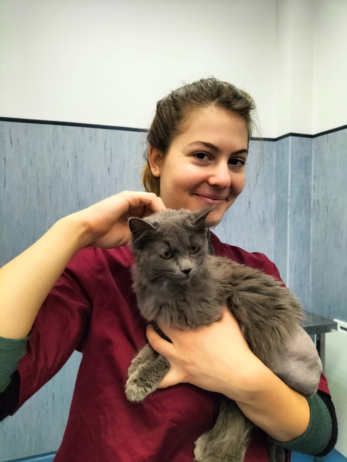 Studentessa con gatto in ambulatorio veterinario universitario impegnata nei Clinical rounds