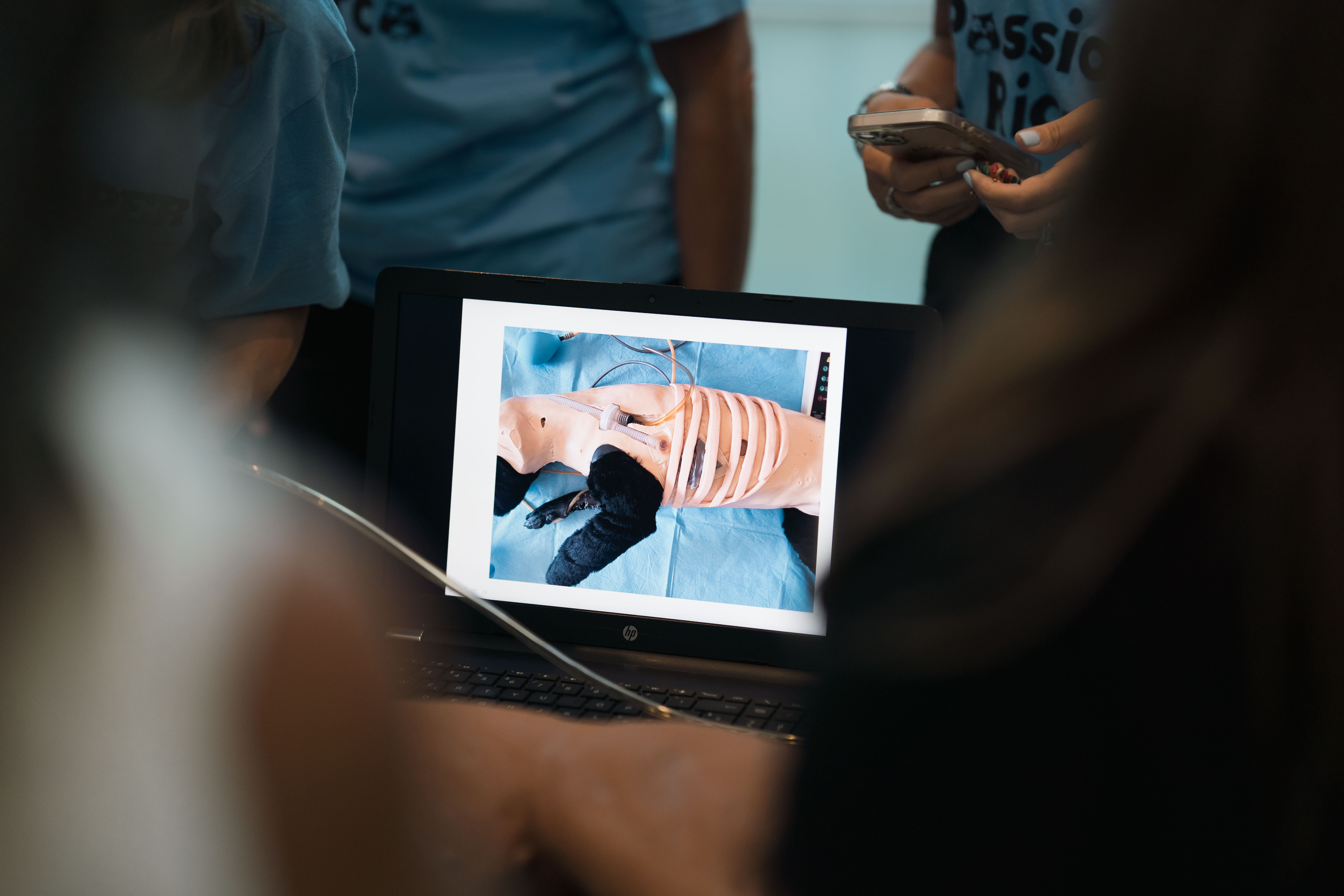 Docenti del Dipartimento di medicina veterinaria di Sassari spiegano le funzioni dell'Ospedale Didattico Veterinario durante la SHARPER- Notte europea dei ricercatori