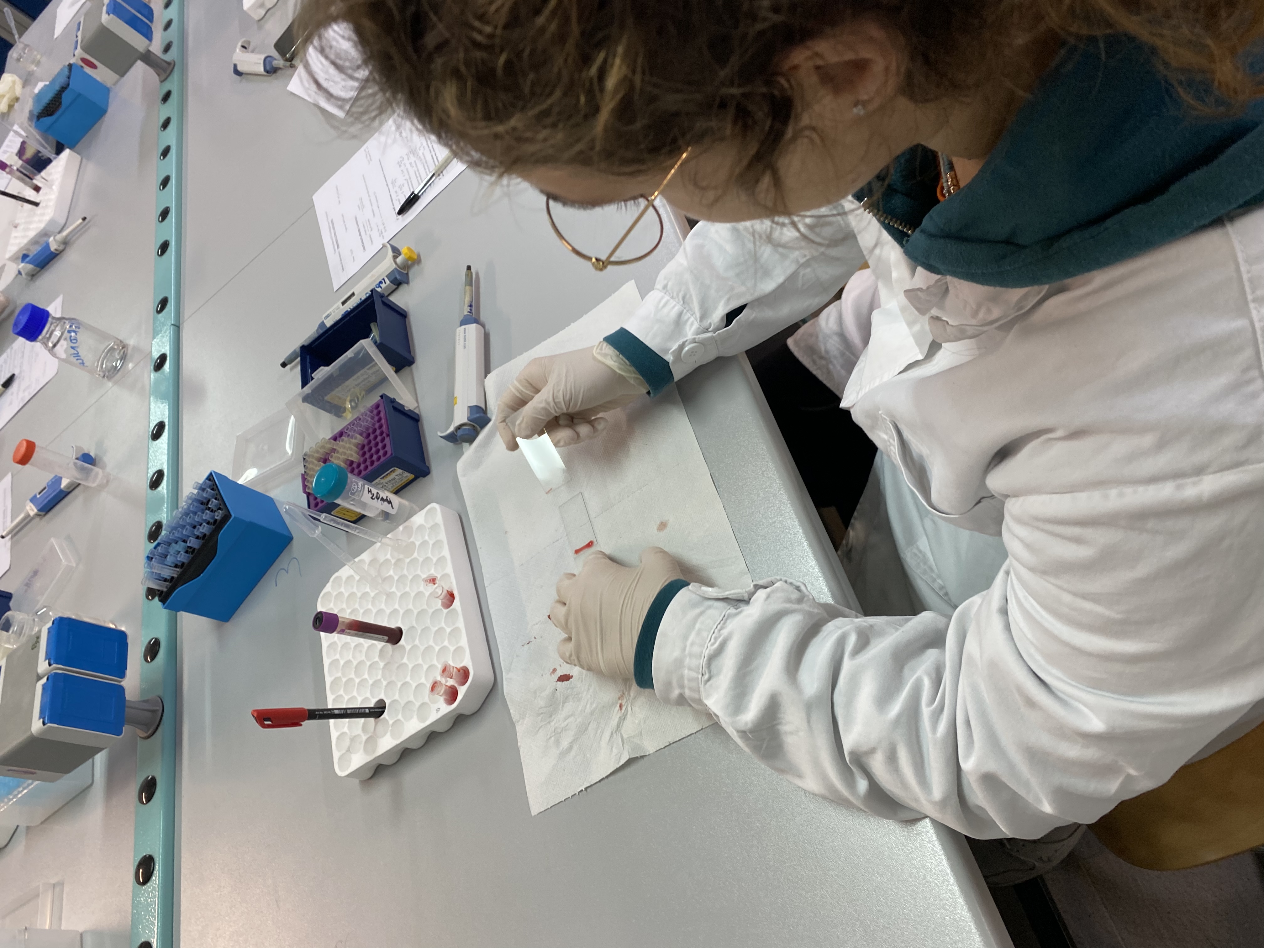 Studentessa di medicina veterinaria impegnata in laboratorio