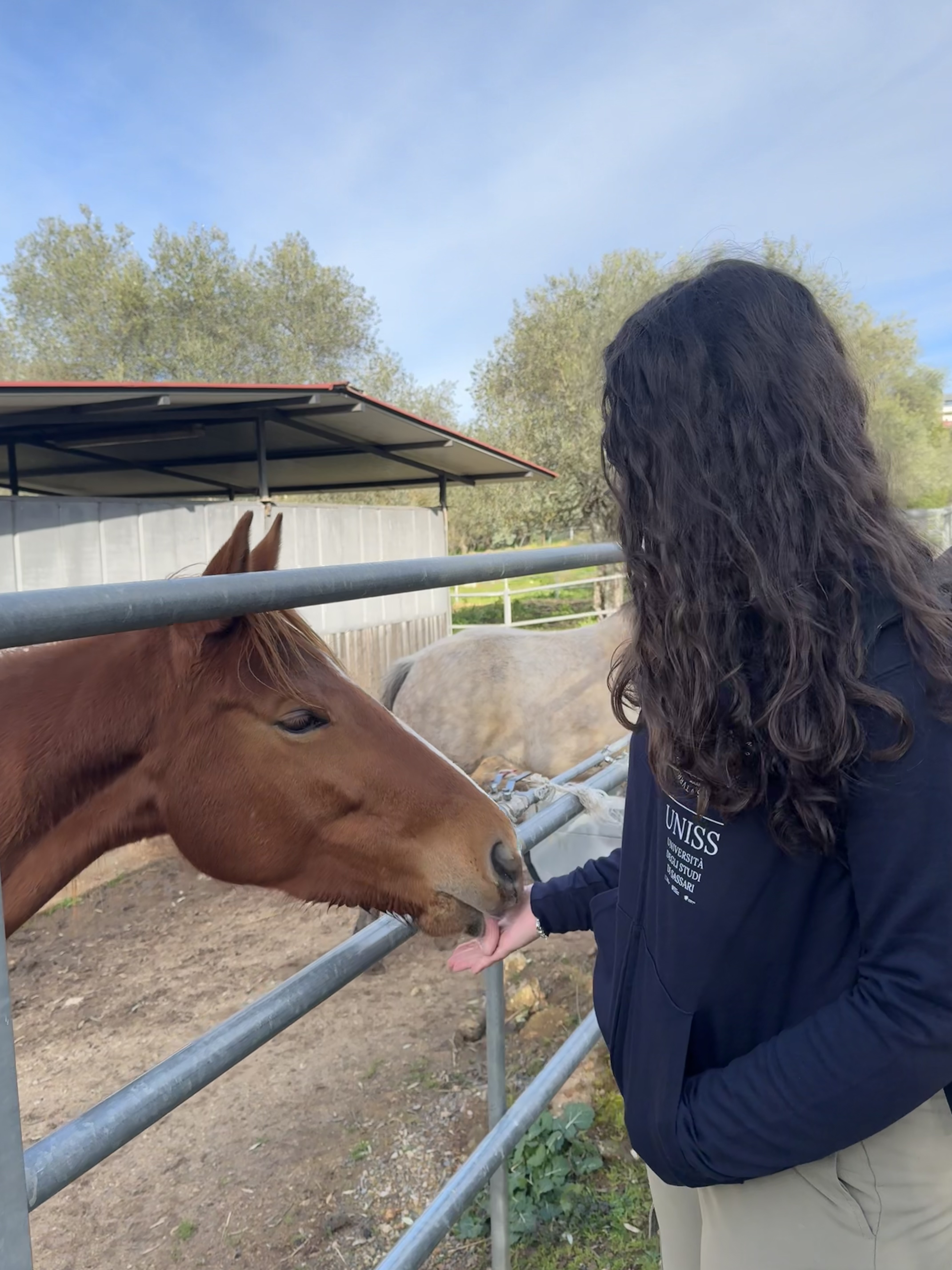 Studentessa accarezza un cavallo