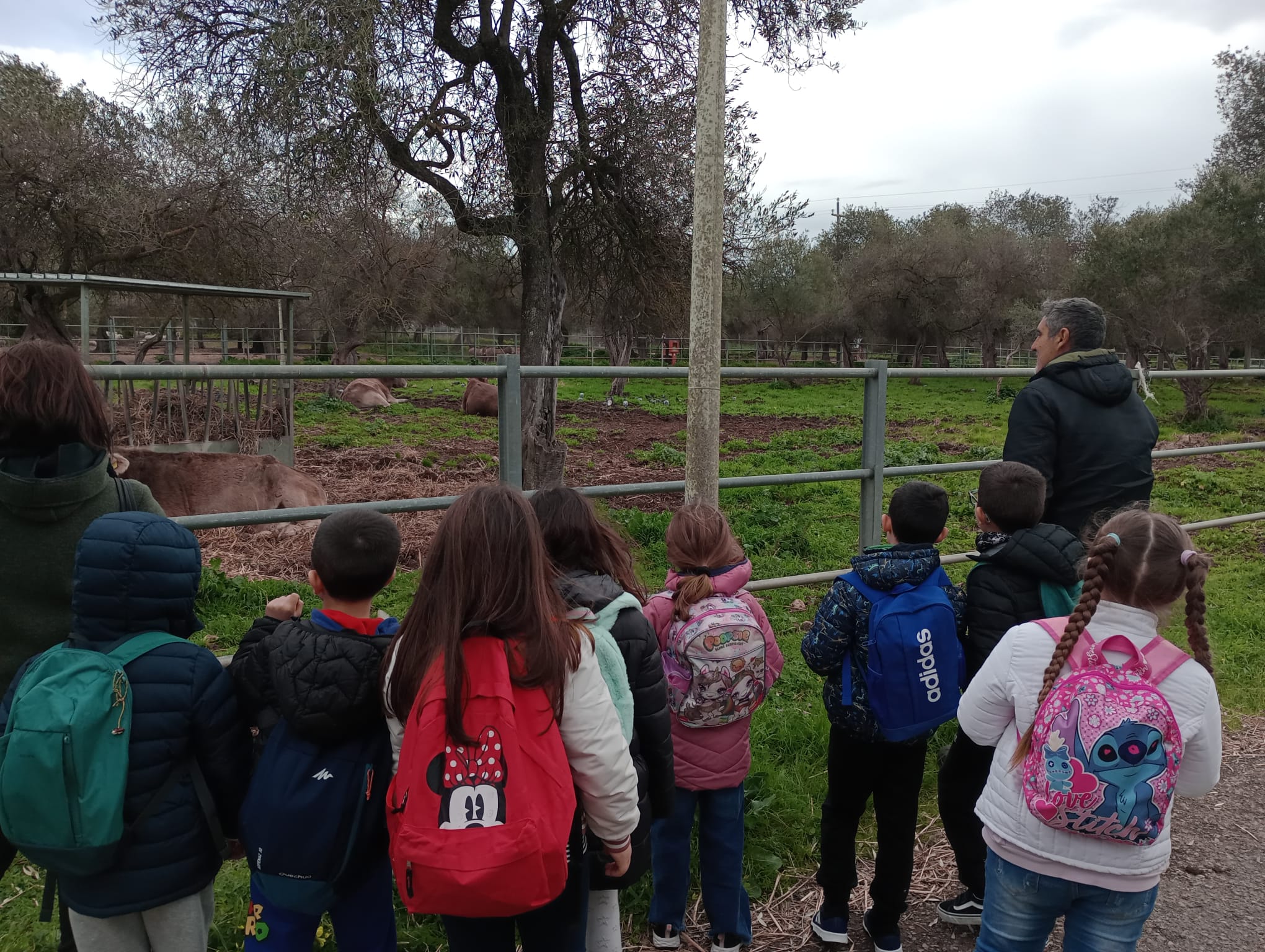Alunni della scuola primaria osservano gli animali nei paddock durante la visita didattica al Dipartimento di Medicina Veterinaria dell’Università di Sassari