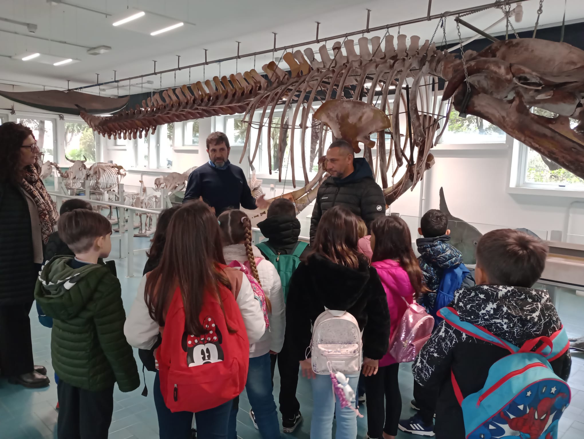Classe della scuola primaria osserva lo scheletro della balena presente nell'aula balena del Dipartimento di Medicina Veterinaria dell’Università di Sassari
