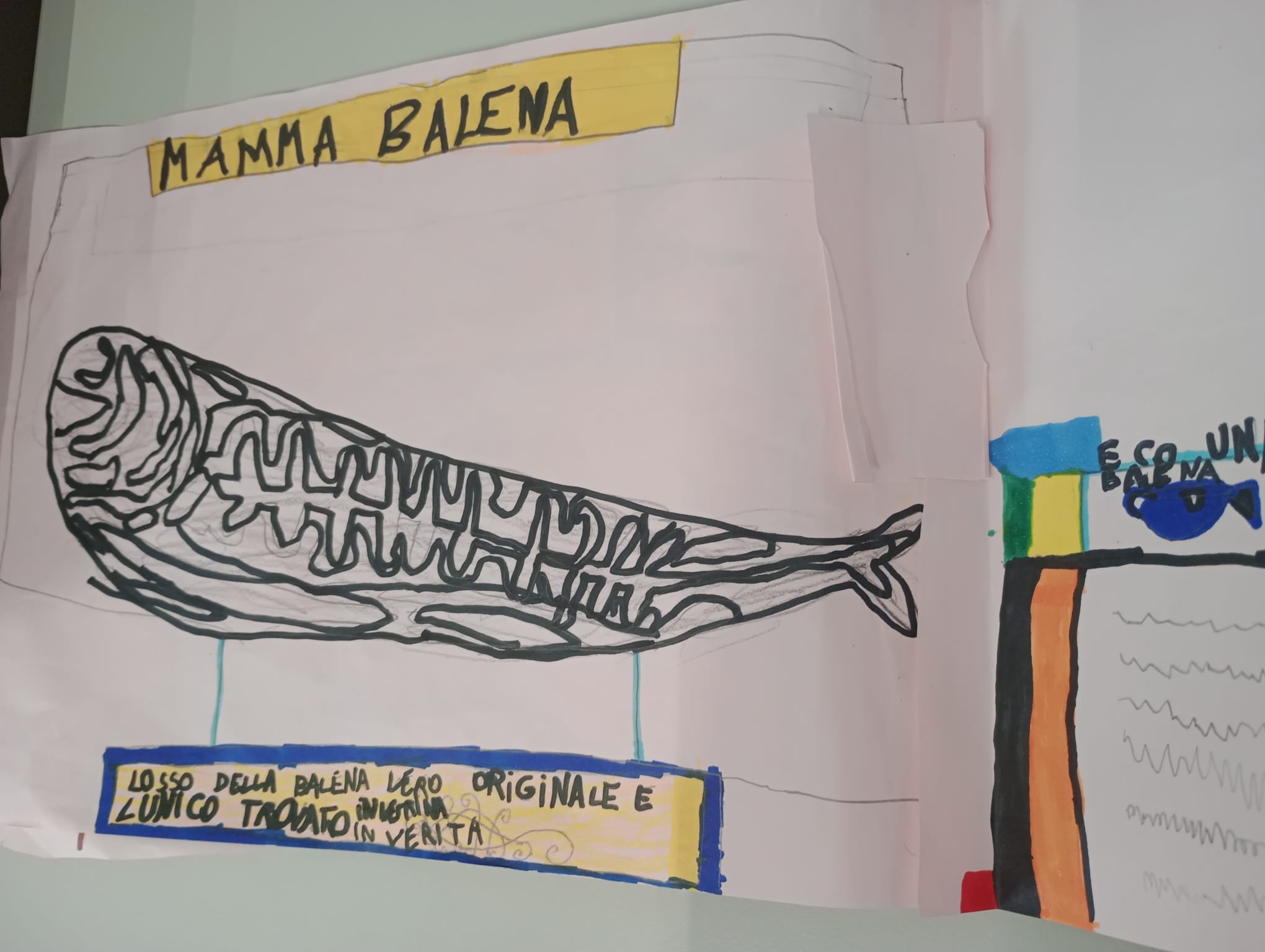 Disegno di una balena realizzato dai bambini dopo la visita didattica al Dipartimento di Medicina Veterinaria di Sassari