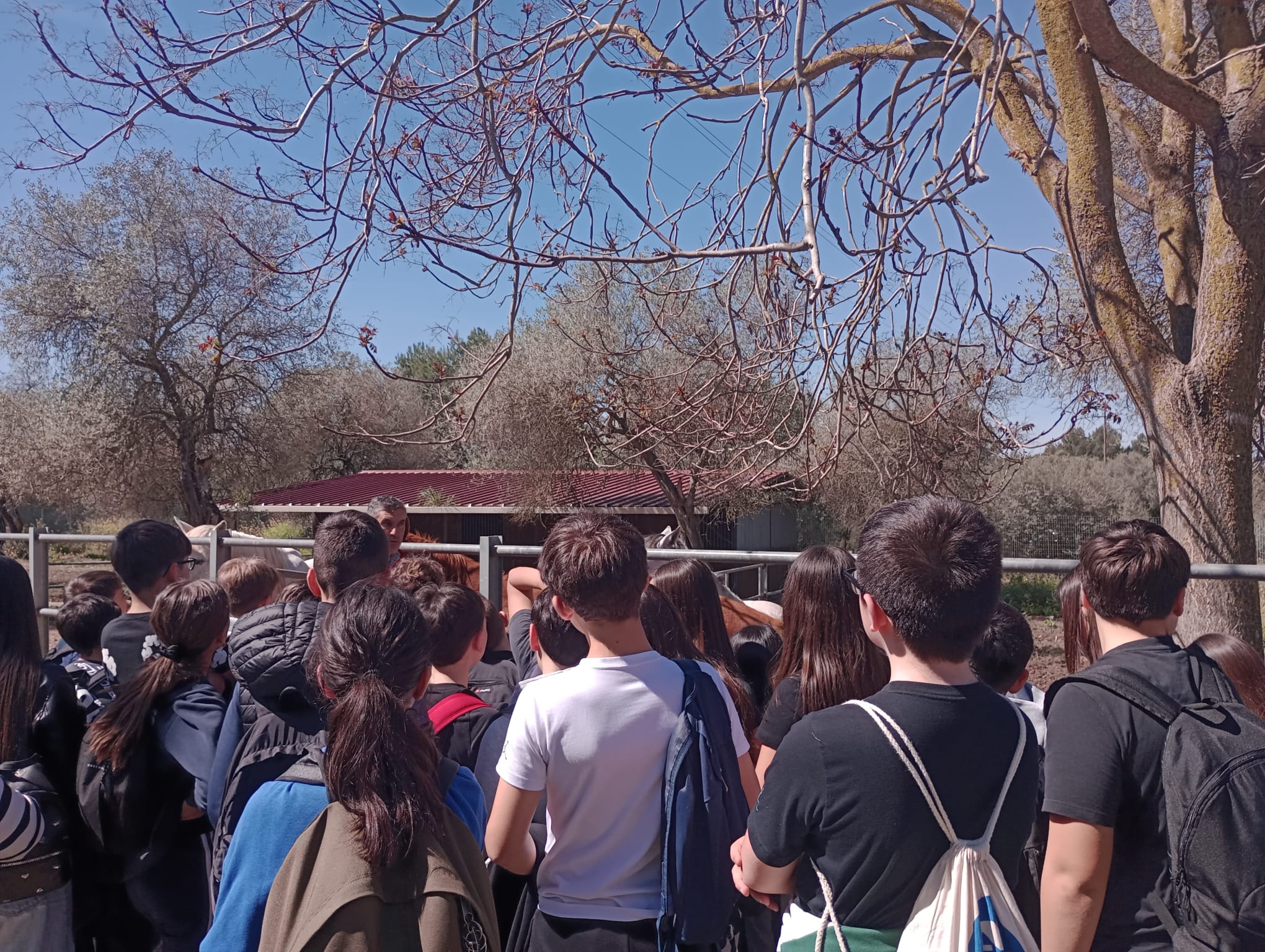 Studenti in ascolto di una spiegazione durante la visita agli animali ospitati negli spazi del Dipartimento.