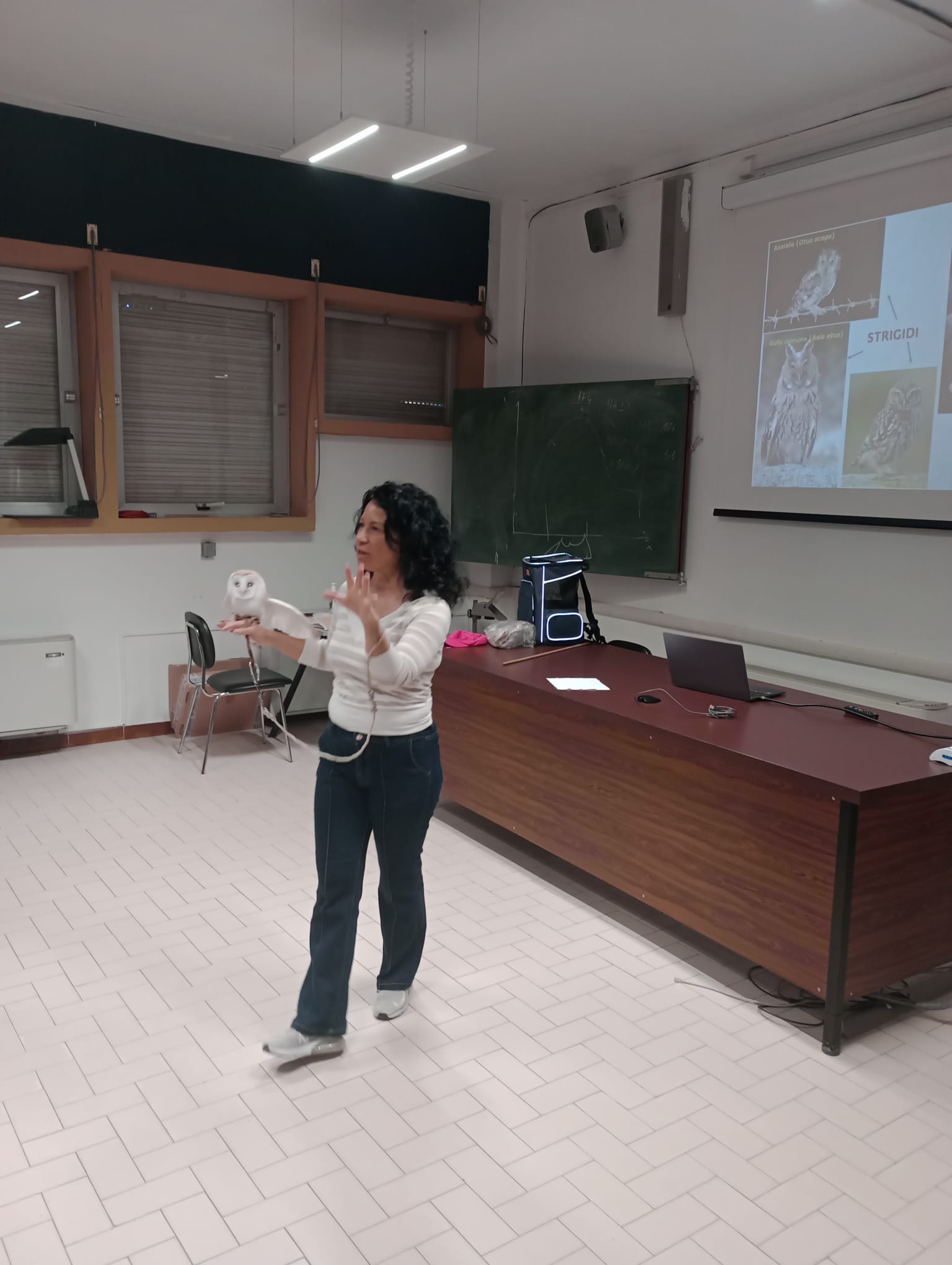 Relatrice durante una lezione sui rapaci notturni con un barbagianni tenuto sul braccio in aula
