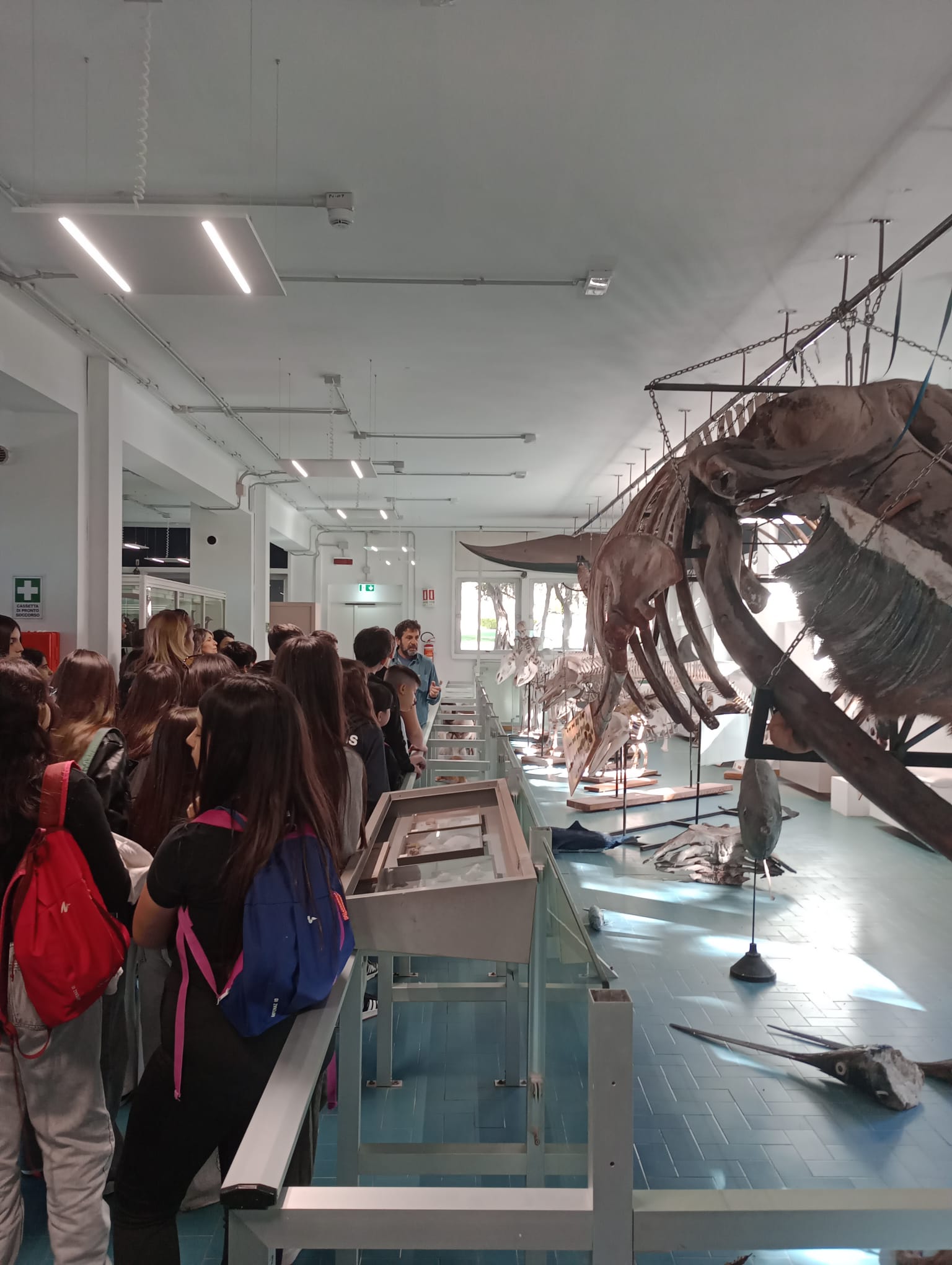 Visita al Museo della Balena con studenti davanti al grande scheletro esposto.