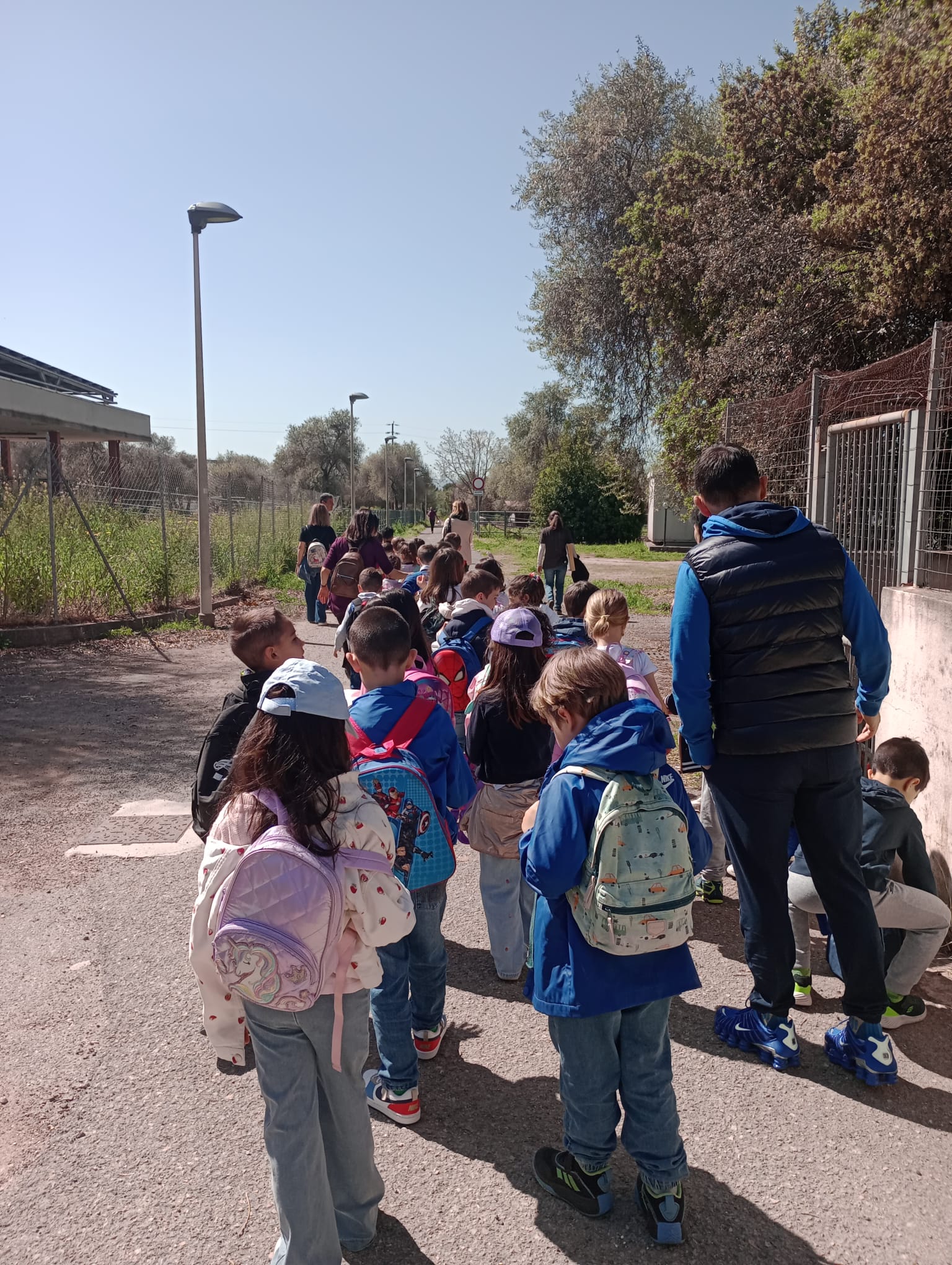 Classe in cammino lungo il percorso della visita didattica all’esterno del Dipartimento di Medicina veterinaria, con bambini e accompagnatori diretti verso le attività educative della giornata.