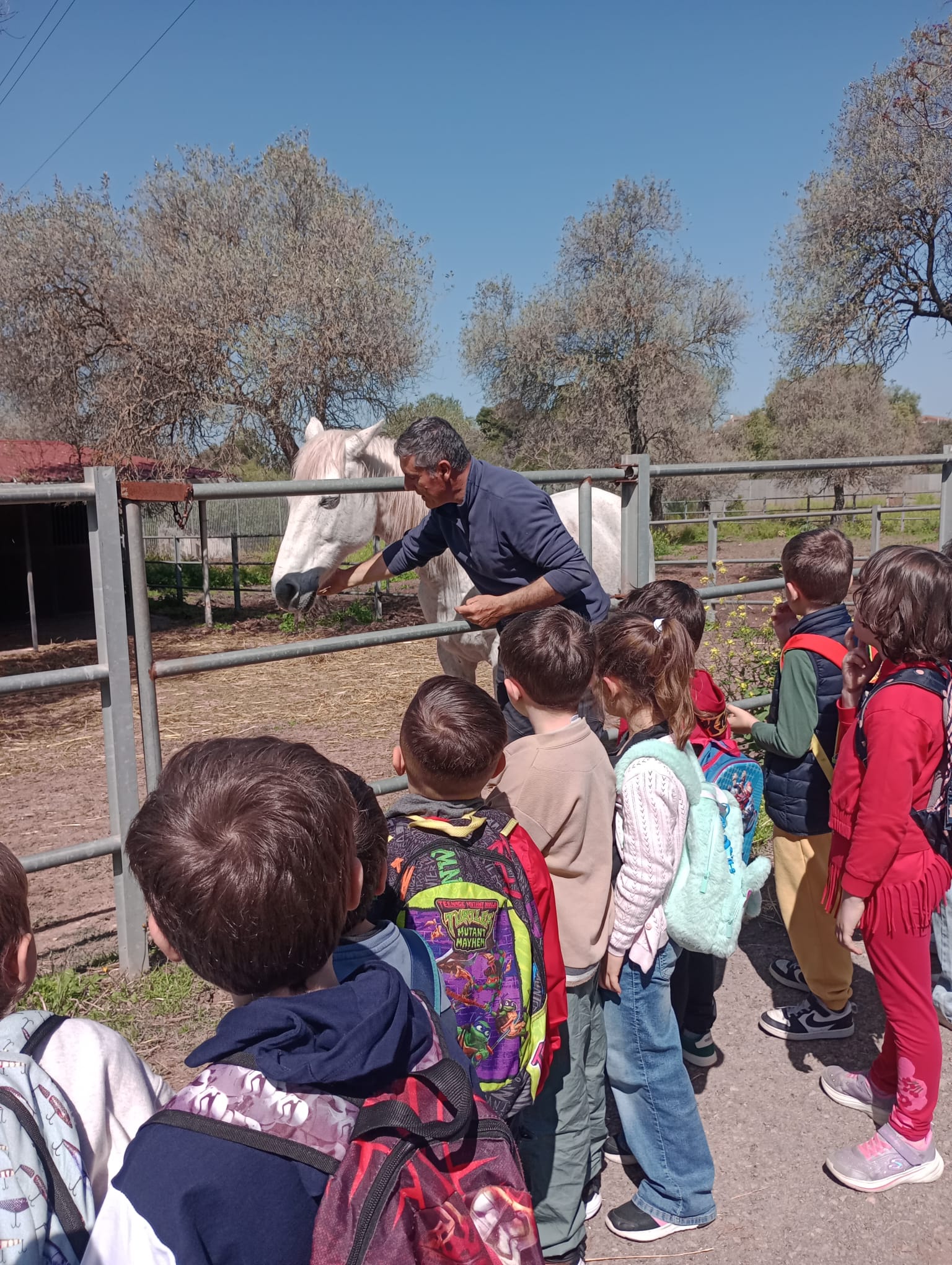 Visita didattica all’aperto del Dipartimento di Medicina Veterinaria di Sassari con bambini della scuola primaria che osservano da vicino un cavallo insieme a un operatore in un’attività educativa sugli animali.