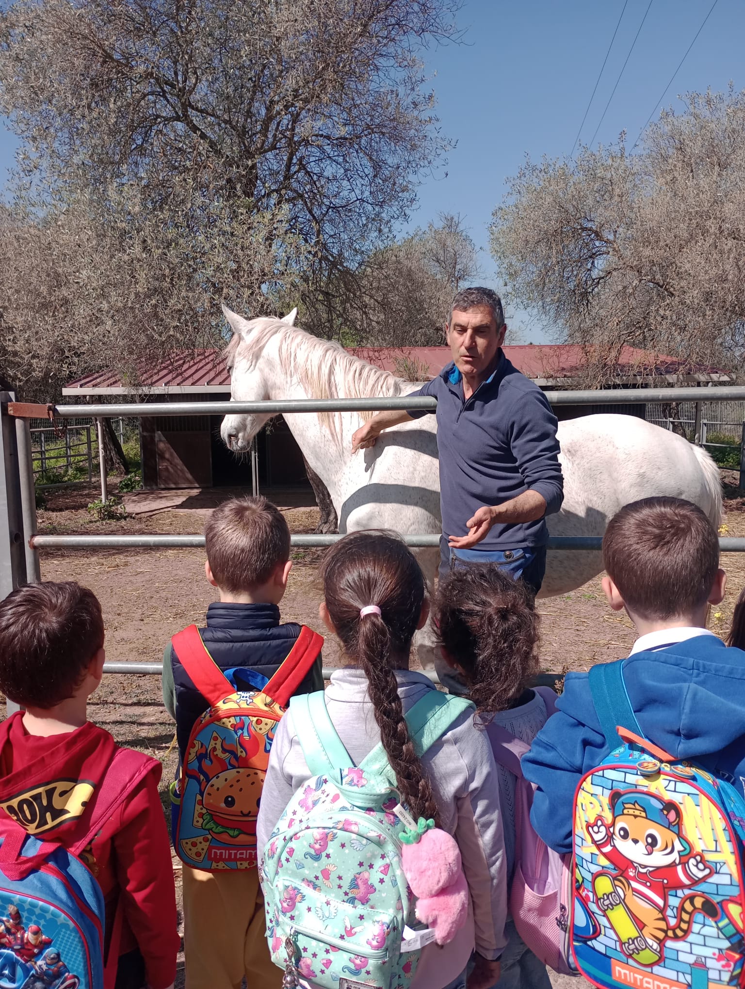 Visita didattica all’aperto con bambini della scuola primaria che osservano da vicino un cavallo insieme a un operatore in un’attività educativa sugli animali.