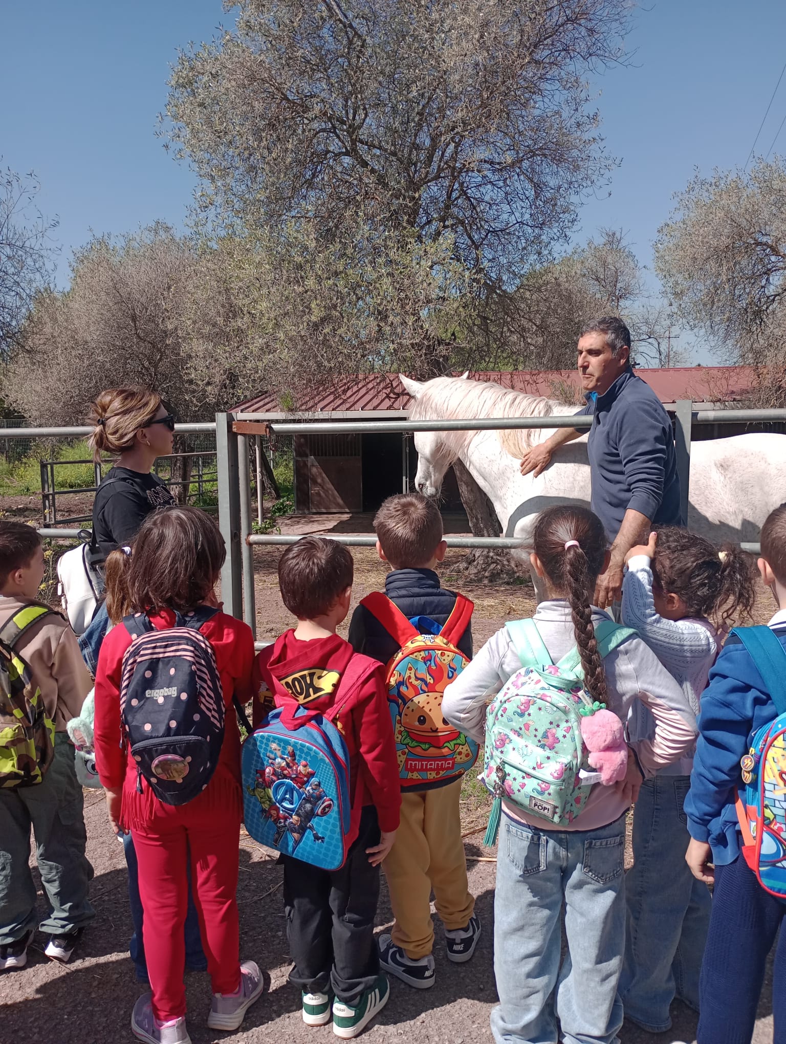 Visita didattica all’aperto del Dipartimento di Medicina Veterinaria di Sassari con bambini della scuola primaria che osservano da vicino un cavallo insieme a un operatore in un’attività educativa sugli animali.