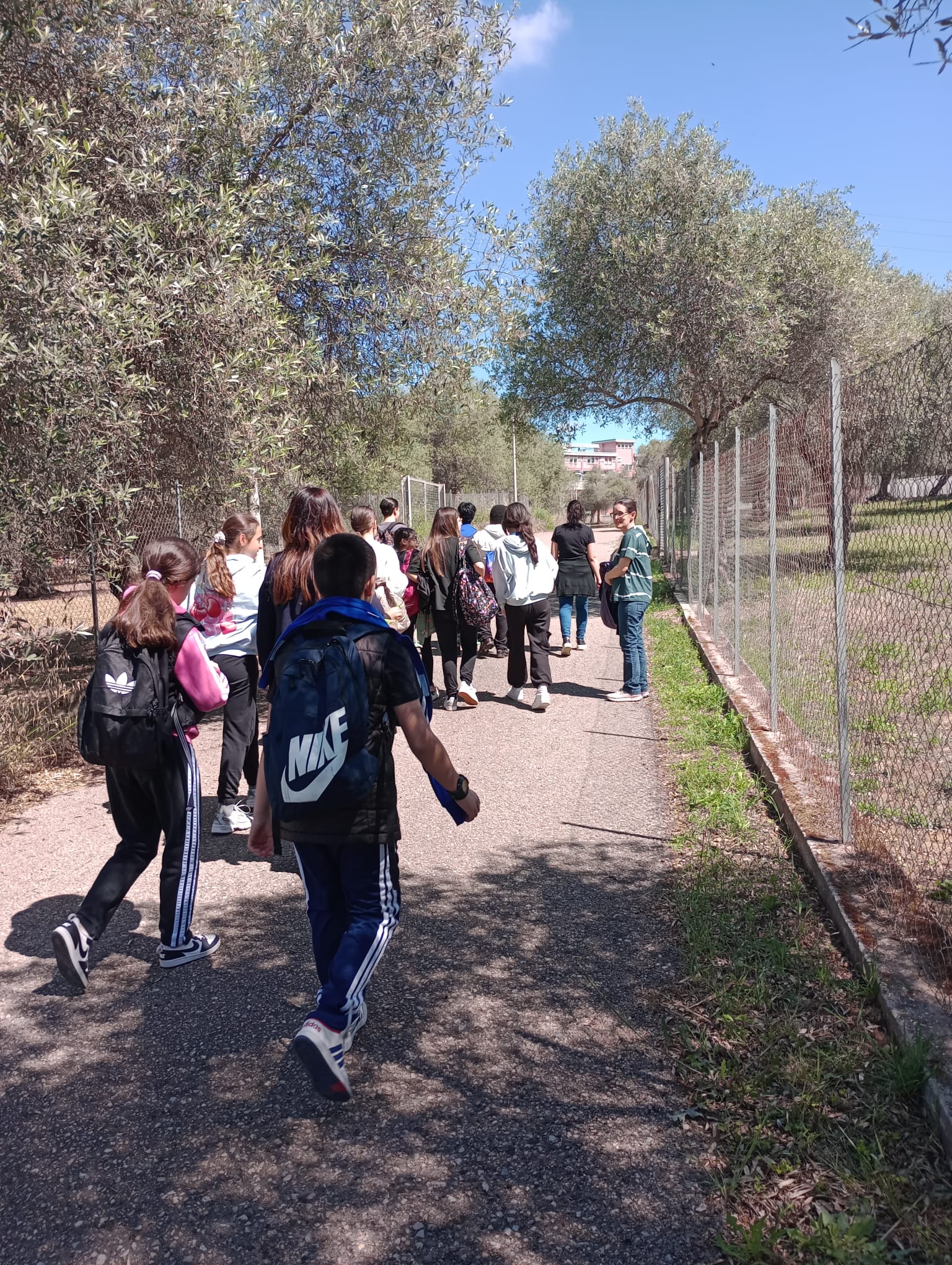 La classe percorre gli spazi esterni del Dipartimento di Medicina Veterinaria durante la visita guidata, accompagnata dal personale del Dipartimento.