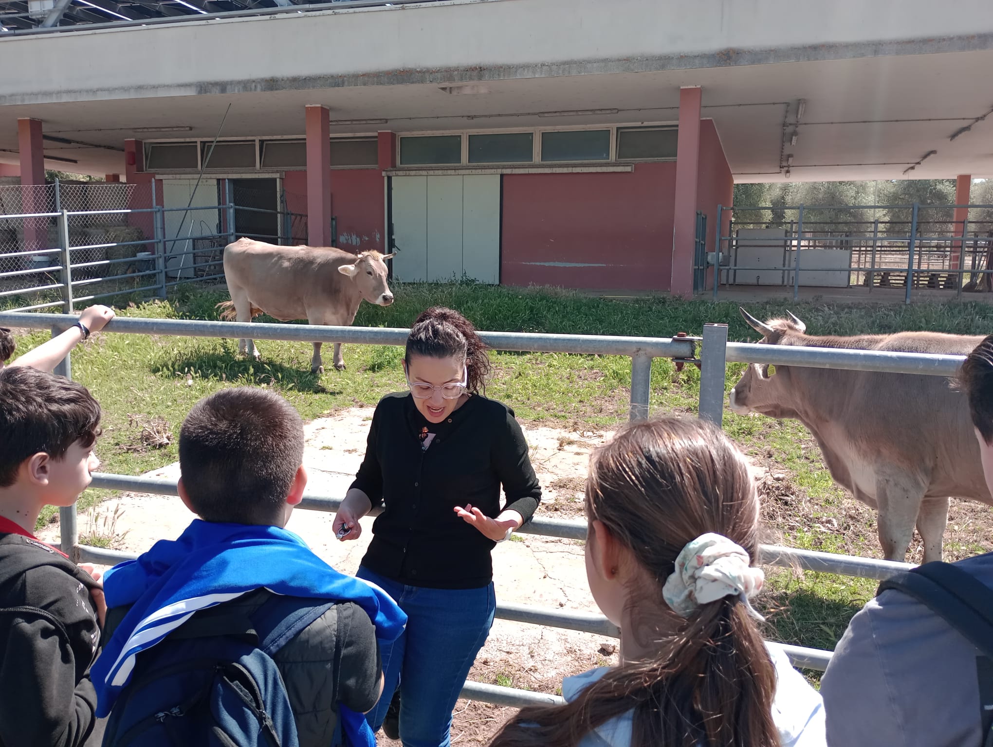Studenti e studentesse dell’Istituto Comprensivo “Pertini-Biasi” osservano gli animali negli spazi esterni del Dipartimento di Medicina Veterinaria, accompagnati dal personale del Dipartimento