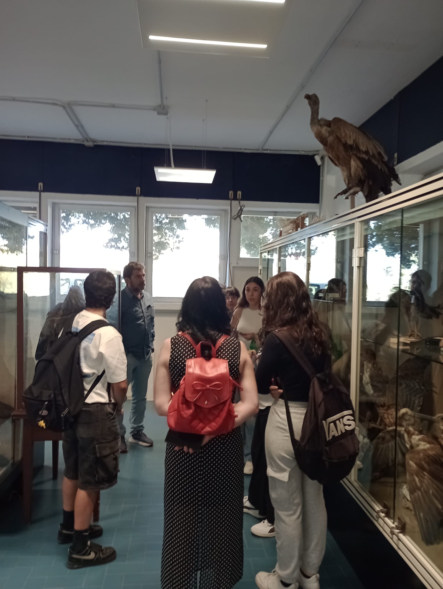Studenti e studentesse partecipano alla visita guidata tra le collezioni del Museo della Balena del DMV.