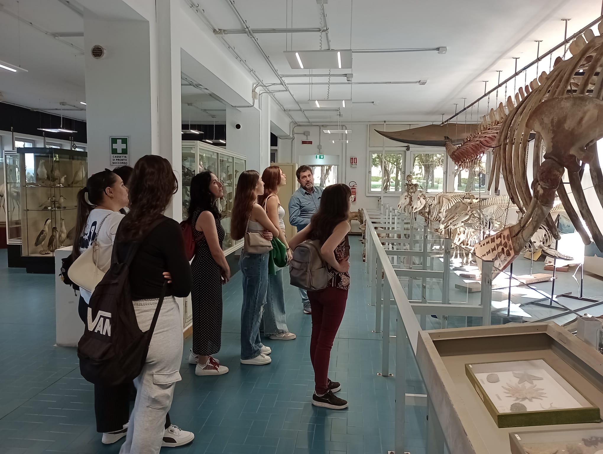 Studenti e studentesse del Dipartimento di Agraria osservano lo scheletro della balena durante la visita al museo.