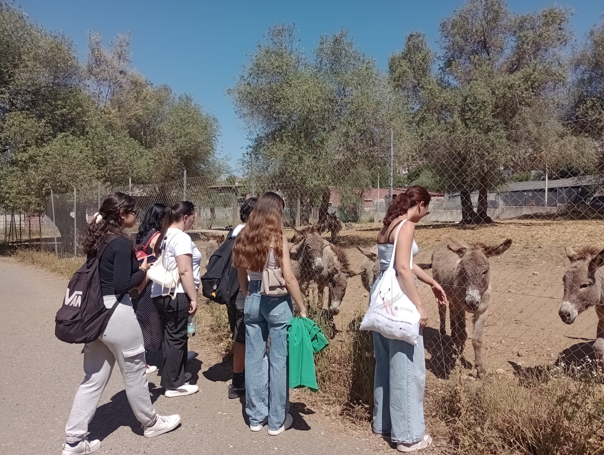 Il gruppo di studenti osserva alcuni asinelli presenti negli spazi esterni del Dipartimento di Medicina Veterinaria.