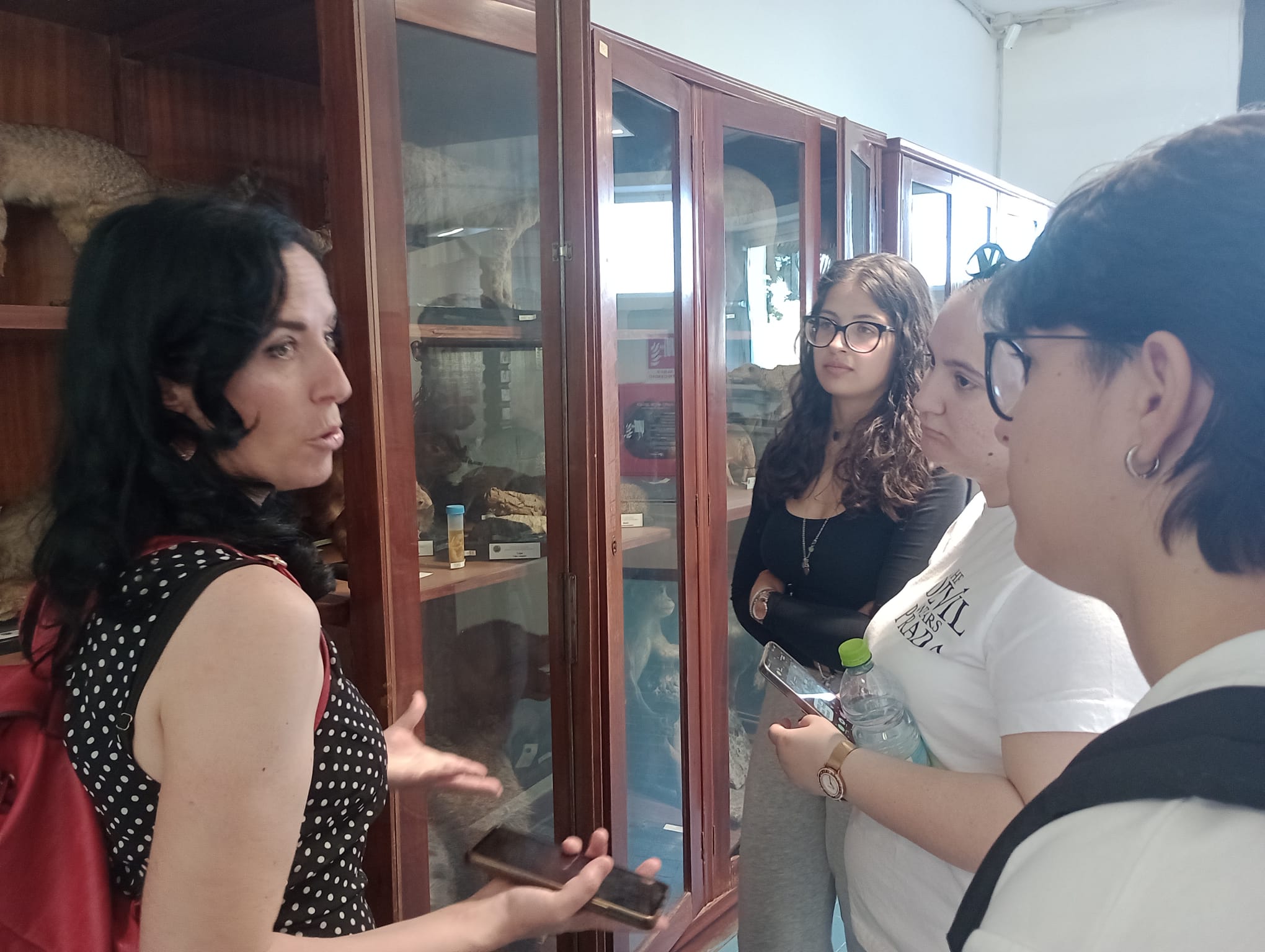 La docente accompagna gli studenti tra le vetrine del museo, illustrando reperti e preparati zoologici.