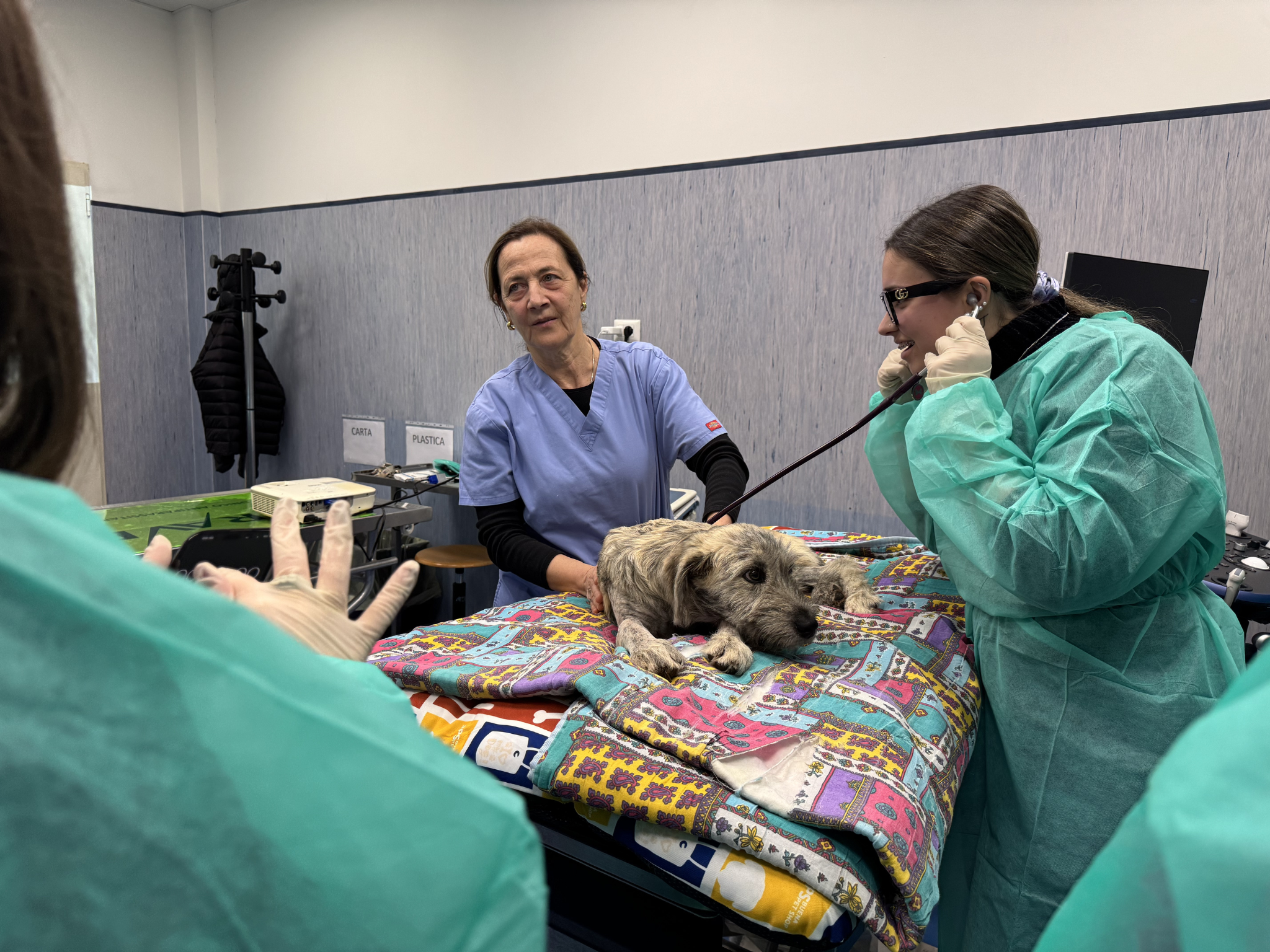Una studentessa ascolta con lo stetoscopio il battito di un cane mentre la docente guida l’attività pratica