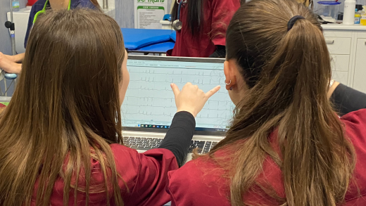 Ospedale Didattico Veterinario Sassari