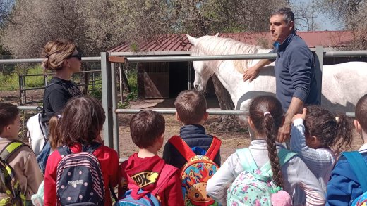 Visita didattica all’aperto del Dipartimento di Medicina Veterinaria di Sassari con bambini della scuola primaria che osservano da vicino un cavallo insieme a un operatore in un’attività educativa sugli animali.