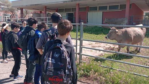 La classe osserva da vicino gli animali alloggiati negli spazi dedicati del Dipartimento di Medicina Veterinaria.