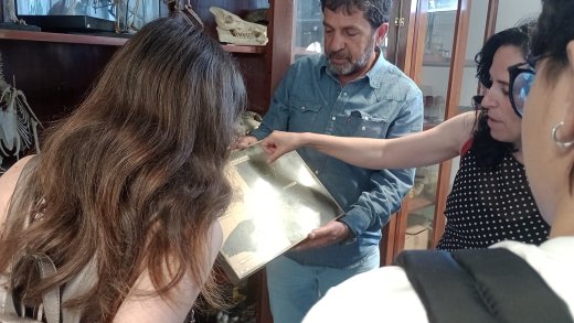 Il gruppo osserva un reperto zoologico illustrato durante la visita guidata al Museo della Balena.