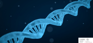 Rappresentazione 3D di una doppia elica di DNA su sfondo blu, con logo del Dipartimento di Medicina Veterinaria.