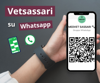 QR code per accedere al gruppo WhatsApp MedVet Sassari, visualizzato su smartphone in primo piano
