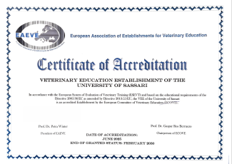 Accreditamento Eaeve del Dipartimento di Medicina veterinaria di Sassari