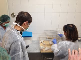 International Week for Laboratory Staff