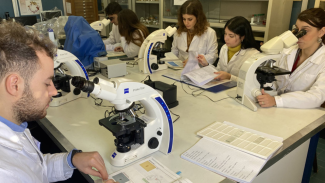 Piano formativo Dottorato in scienze veterinarie