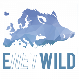 logo ENEWILD