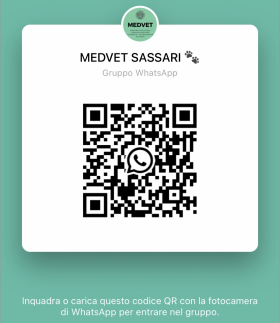 qr code gruppo Whatsapp MedVET