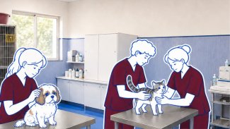 Illustrazione studenti ODVU